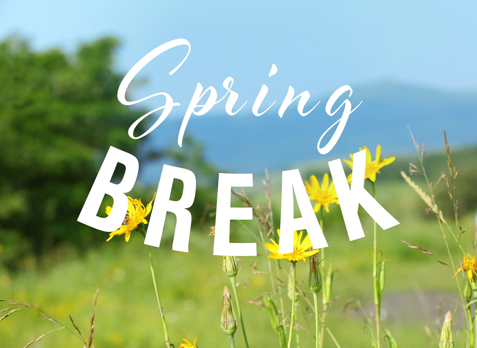 When Is Spring Break 2025 California